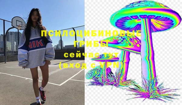 эйфоретик Строитель