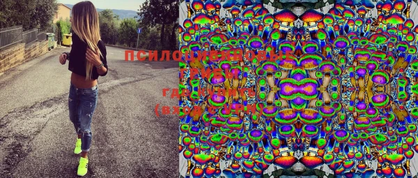 эйфоретик Строитель