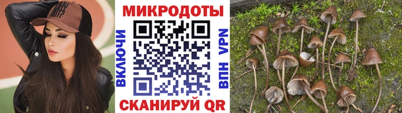 нарко площадка официальный сайт Дятьково Галлюциногенные грибы мухоморы закладка